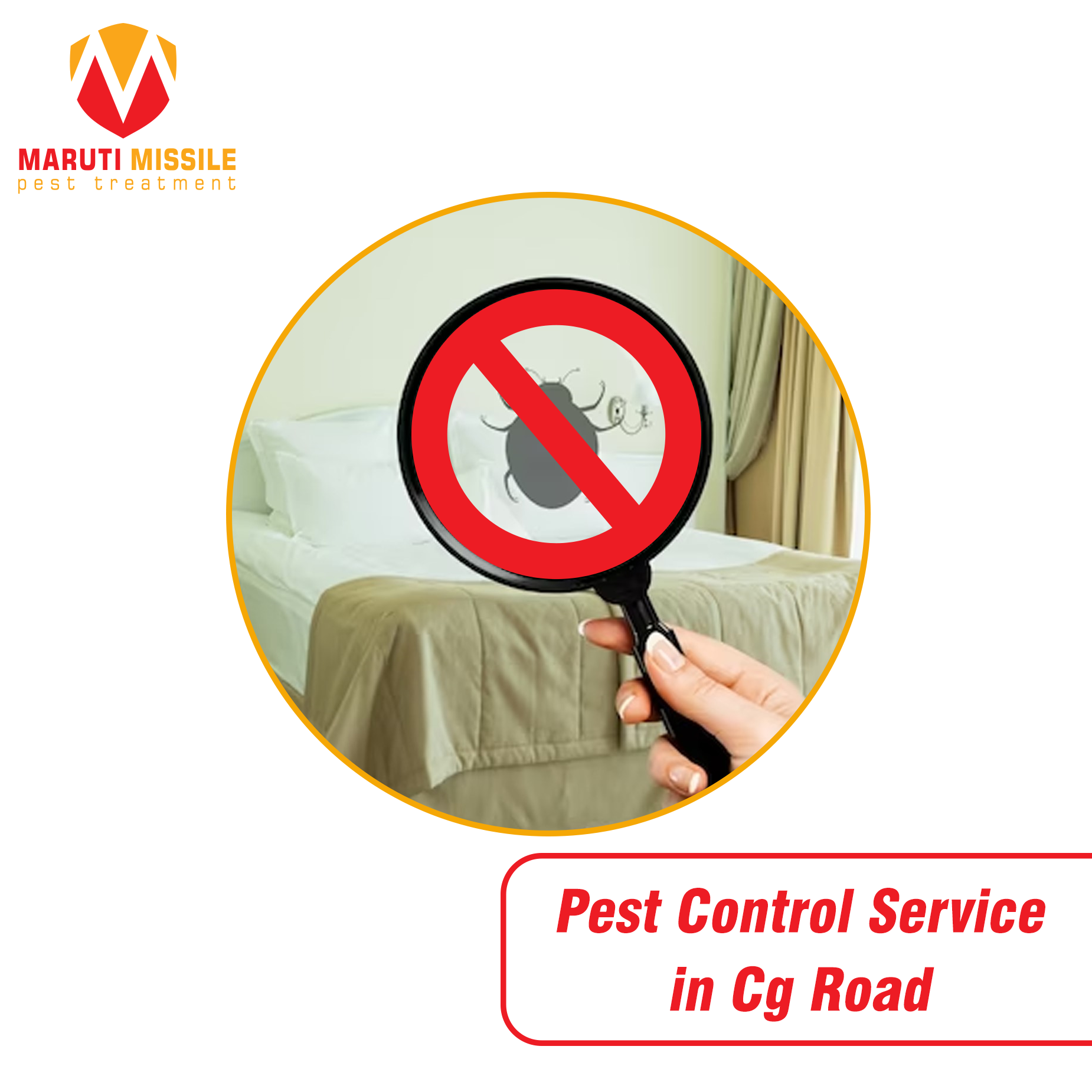 Pest Control Service in Cg Road